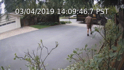 UPS person detected